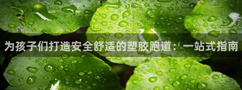 d88尊龙手机登录下载：为孩子们打造安全舒适的塑胶跑道：一站式指南