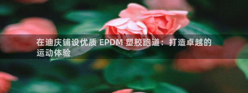 尊龙网址是选访问zd207：在迪庆铺设优质 EPDM 塑胶跑道：打造卓越的
运动体验