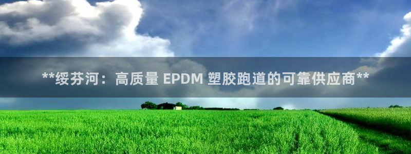 尊龙实业：**绥芬河：高质量 EPDM 塑胶跑道的可靠供应商