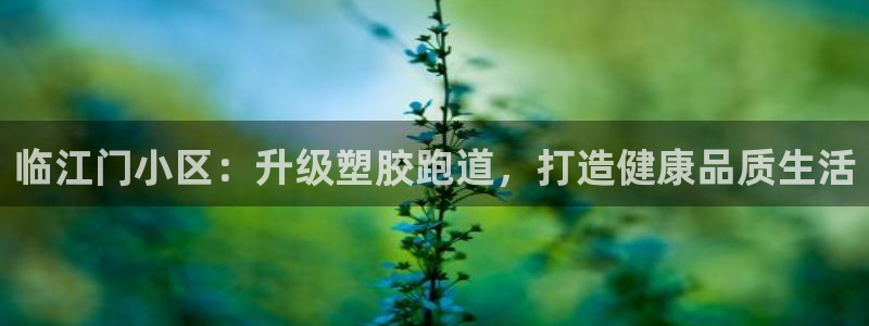凯时国际app首页登录入口：临江门小区：升级塑胶跑道