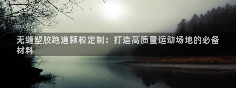 尊龙人生就是搏：无缝塑胶跑道颗粒定制：打造高质量运动场地的必备
材料