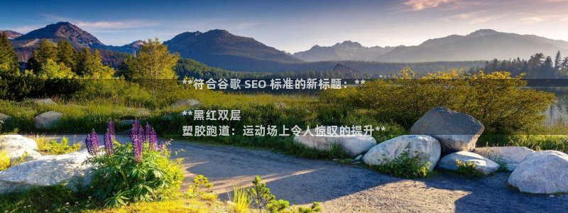 尊龙凯时防屏蔽网址：**符合谷歌 SEO 标准的新标