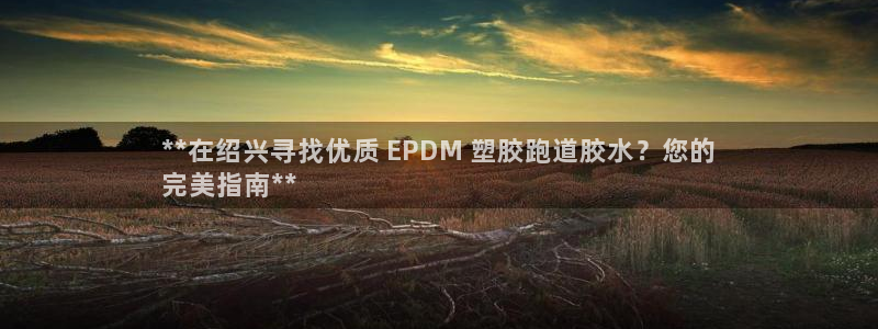 凯时国际网站域名：**在绍兴寻找优质 EPDM 塑胶跑道胶水？您的
完美指南**