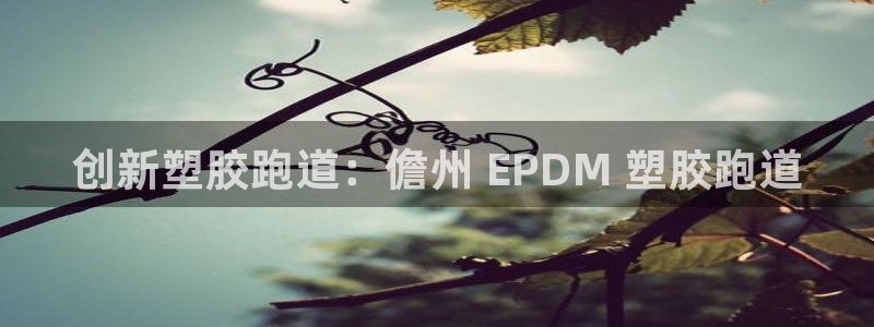 尊龙凯时是大平台吗：创新塑胶跑道：儋州 EPDM 塑