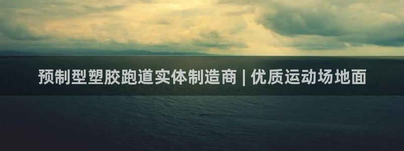 尊龙coming to my own：预制型塑胶跑道实体制造商 | 优质运动场地面
